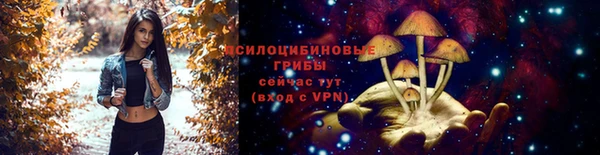 2c-b Нефтегорск