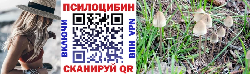 наркотики Цоци-Юрт Псилоцибиновые грибы мицелий