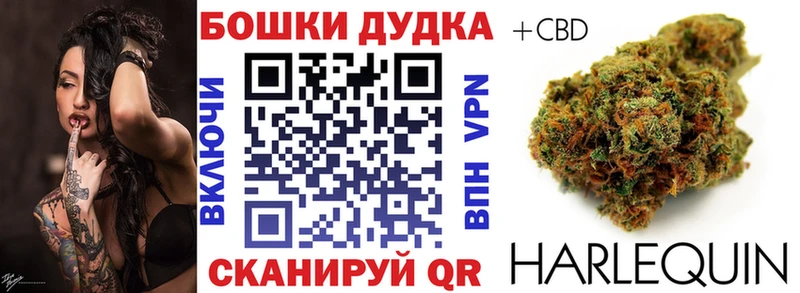 Каннабис конопля Цоци-Юрт