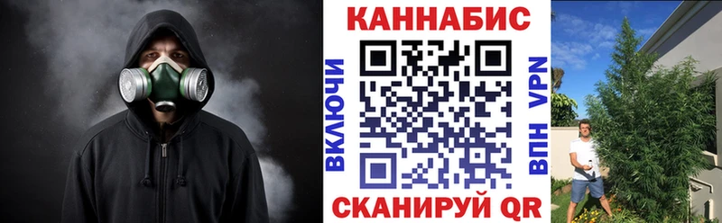 Канабис индика  Цоци-Юрт 